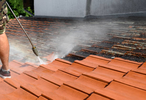 Best Residential Pressure Washing Services  in Livingston, LA