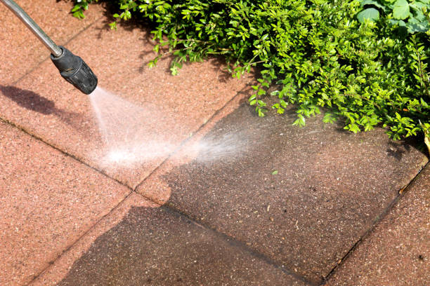 Best Roof Power Washing Services  in Livingston, LA