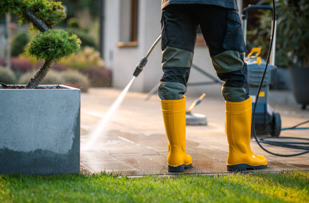 Best Deck Pressure Washing  in Livingston, LA